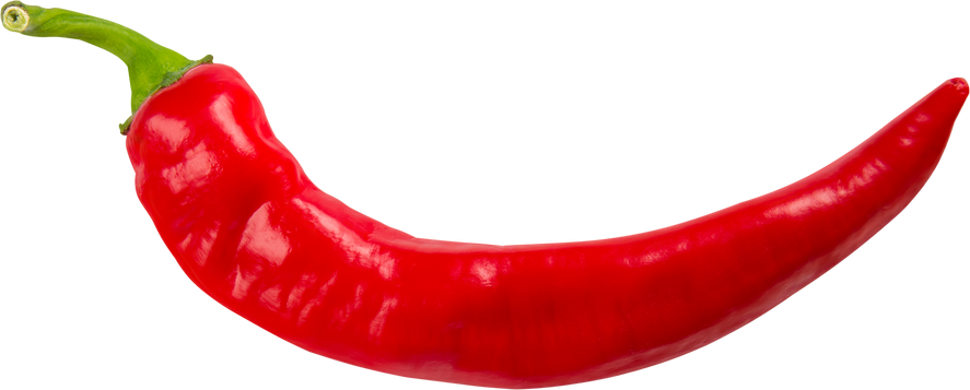 Hot Red Chili Pepper