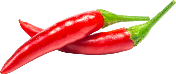 chili pepper isolated